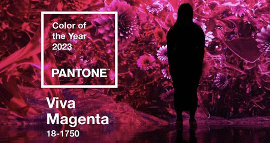 Pantone Colors: The Key to Vibrant Branding and Creative Excellence