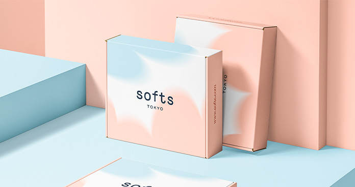 How Can Printed Mailer Boxes Raise Your Brand's Status?