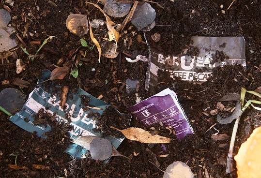 biodegradable and compostable process