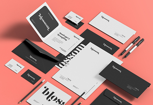 custom business envelopes with logo