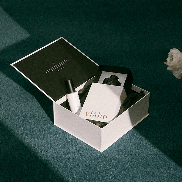 best influencer boxes
