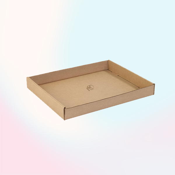consumer printed tray boxes