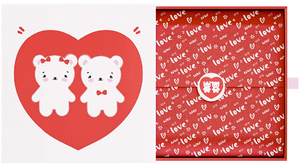 Gift Sleeve Packaging