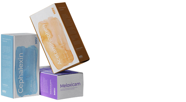 Custom Promotion Packaging