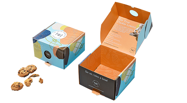 custom tab lock mailer boxes