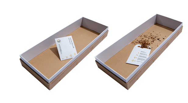 Custom Tray Boxes