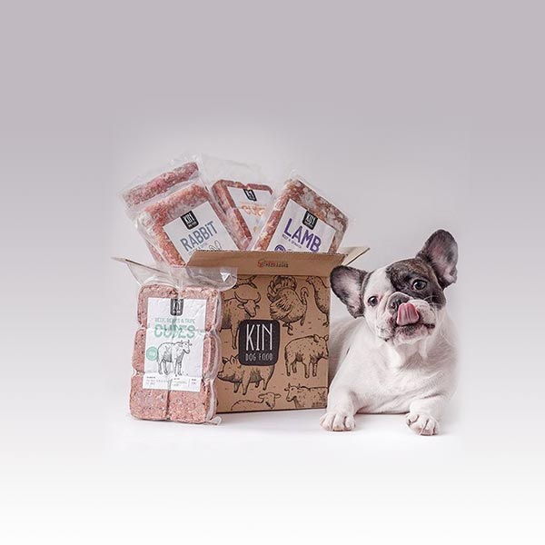 customize dog food boxes
