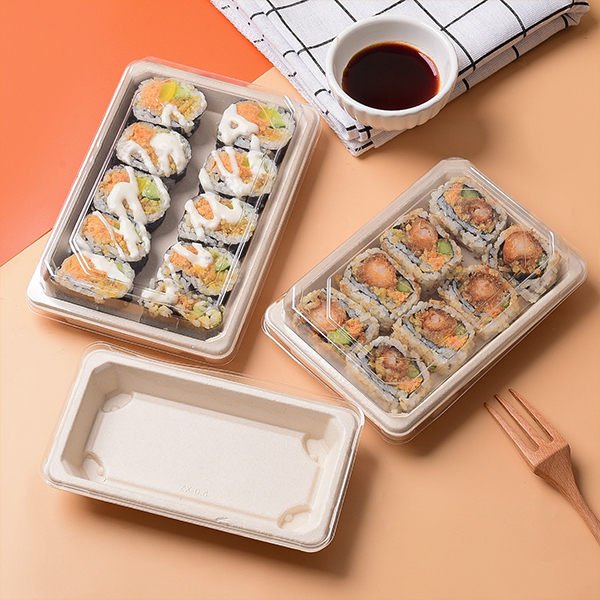 disposable bento boxes