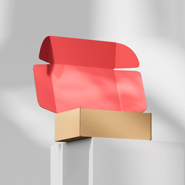 Ear Lock Mailer Box