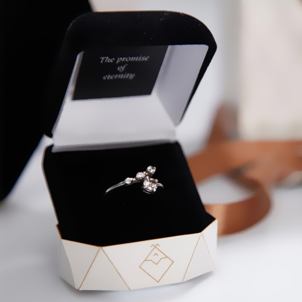 jewelry display box