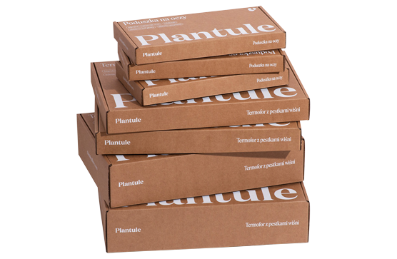 Kraft Corrugated Box packaging