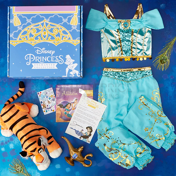 printed disney subscription box