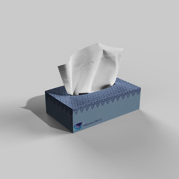 small tissue boxes