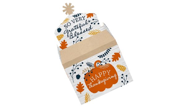 thanksgiving leftover boxes