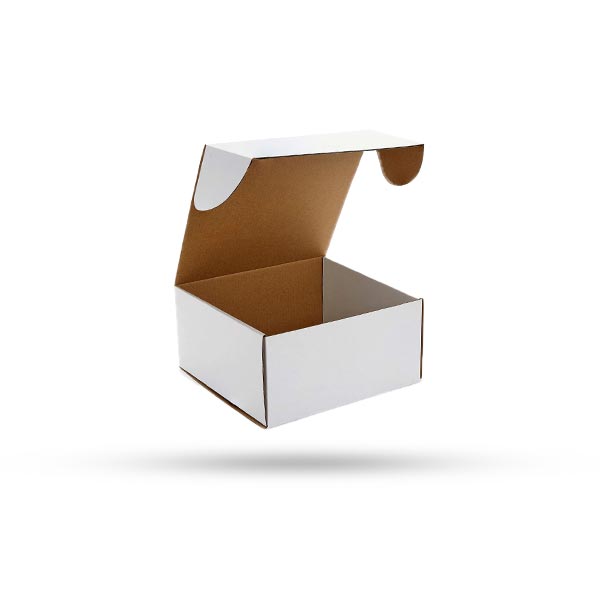 White Kraft Boxes