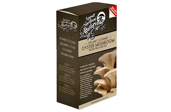 wholesale mushroom boxes